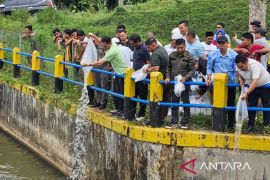 Bupati Tapsel genjot program swasembada Ikan Air Tawar