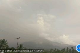 Gunung Lewotobi Laki-Laki berstatus awas pada Minggu