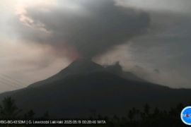 Gunung Lewotobi Laki-laki muntahkan abu setinggi 1.200 meter