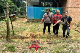 Tersinggung dituduh maling, SU habisi nyawa pria di Satui