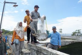Bupati Kotabaru kembangkan potensi udang vaname dan windu