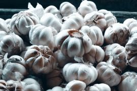 Biak pastikan kebutuhan bahan pokok Idul Adha mencukupi