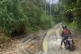 Kerusakan jalan menuju Situs 1000 Megalit di Behoa semakin parah, warga harap perhatian pemerintah