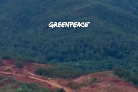 PBD telusuri aktivitas tambang diduga rusak lingkungan Raja Ampat