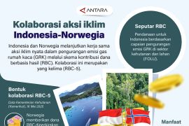 Kolaborasi aksi iklim Indonesia-Norwegia