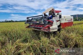 Pemprov Papua Barat miliki lima program pengembangan pertanian