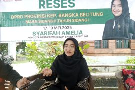 Tata kelola dan niaga timah di Bangka Belitung harus diperbaiki