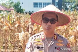 Polres Mukomuko kawal penyaluran pupuk subsidi sampai ke desa