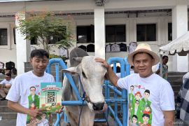 DKPP Kota Bandung sebar 156 petugas memeriksa kesehatan hewan kurban