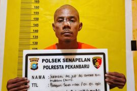 Maling di Pekanbaru tikam polisi saat akan dibekuk