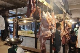 Pemkot Pontianak pastikan stok daging aman jelang Idul Adha