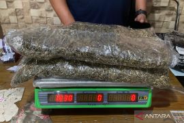 BNNP NTB ungkap pengiriman paket ganja dari Medan ke Lombok Timur