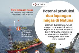 Potensi produksi dua lapangan migas di Natuna