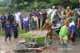Mabes TNI AD berharap Belitung jadi lumbung padi nasional