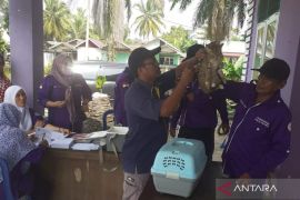 Distan Mukomuko vaksinasi hewan penular rabies dari rumah ke rumah