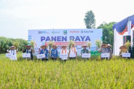 Sinergi PKT BISA dongkrak produktivitas pertanian dan kesejahteraan petani Magetan
