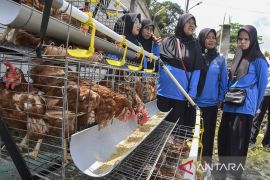 Pemberdayaan PKH sektor pertanian dan peternakan