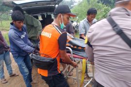 Body of crocodile attack victim in Kotabaru found