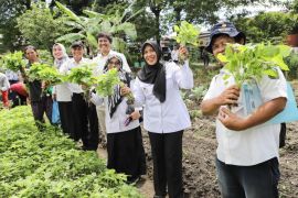 Warga Pematangsiantar diajak manfaatkan pekarangan rumah dengan tanaman bernilai ekonomis
