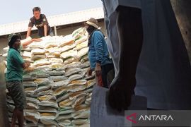 Bulog Cirebon menyerap 110 ribu ton setara beras hingga Mei 2025