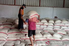 Bulog Indramayu targetkan serap gabah capai 100 persen pada akhir Mei