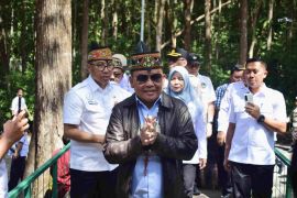 Pemprov Kalteng tebar benih ikan betok di Danau Tahai jaga keseimbangan ekosistem