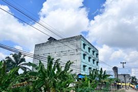 Pajak sarang burung walet per triwulan pertama rendah