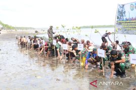 Kodim 0432 Bangka Selatan tanam 1.000 bibit Mangrove di pesisir pantai Desa Kumbung
