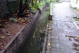 Kasus DBD di Lebak Banten capai 307 orang