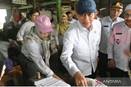 Menteri LH: Tiga kabupaten tunjukkan perubahan kelola sampah di Kalsel
