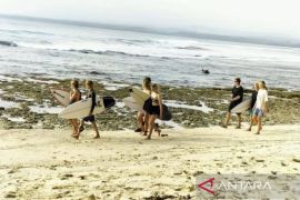 Sebanyak 302 peselancar siap bertanding di WSL Krui Pro 2025