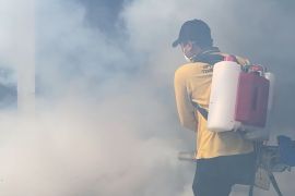 DBD meningkat, Dinkes Inhil lakukan fogging