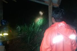 Sebanyak 15 rumah di Tulungagung rusak akibat longsor