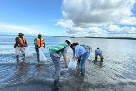 Freeport jaga ekosistem perairan Mimika dengan tebar 10.000 bibit ikan
