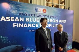 Jepang dukung pendanaan untuk ASEAN maksimalkan potensi karbon biru 