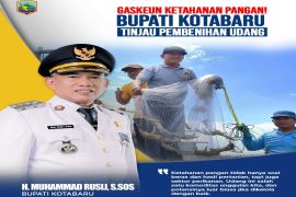 Kotabaru kembangkan udang vaname dukung ketahanan pangan