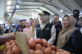 Bangka Belitung tambah pasokan 39,5 ton telur ayam ras