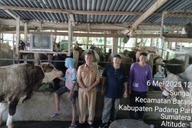 Pemkab Padang Pariaman bentuk empat tim pengawasan pemotongan hewan kurban