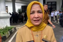 Dinkes Banten klaim sudah tindaklanjuti temuan BPK terkait mamin RSUD