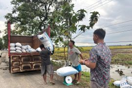Bulog Jabar: Cirebon menjadi penyumbang serapan beras terbesar nasional