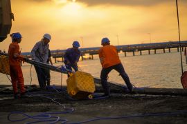 PLN NP utamakan prinsip kehati-hatian guna hadapi migrasi ubur-ubur