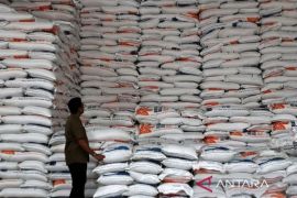  Jepang krisis, Indonesia kokoh dengan produksi beras