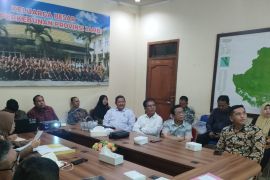 Harga TBS kelapa sawit di Jambi usia tanam naik tipis