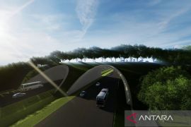 Waskita Karya bangun jembatan satwa di sekitar Tol IKN Seksi 3B