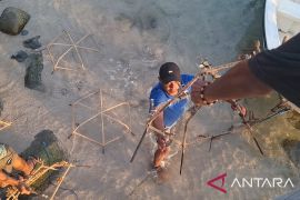 Komut ASDP berharap perawatan terumbu karang dilakukan secara rutin