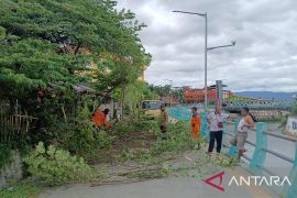 DLH Solok pangkas pohon di tepian Sungai Batang Lembang