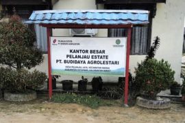 PT SNP dan BAL melalui program TJSL ikut bantu cegah stunting di Marau