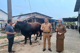 Dinas Peternakan pastikan hewan ternak untuk Idul Adha 1446 H terpenuhi