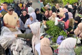 30 menit, 1 kuintal ikan ludes cepat terjual di pasar murah DKP Kalsel