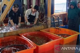 Unpatti: Indeks Kesehatan Laut kunci perikanan dilirik internasional